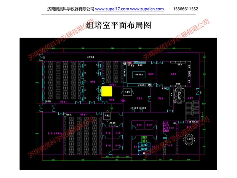 免费看片网站91室