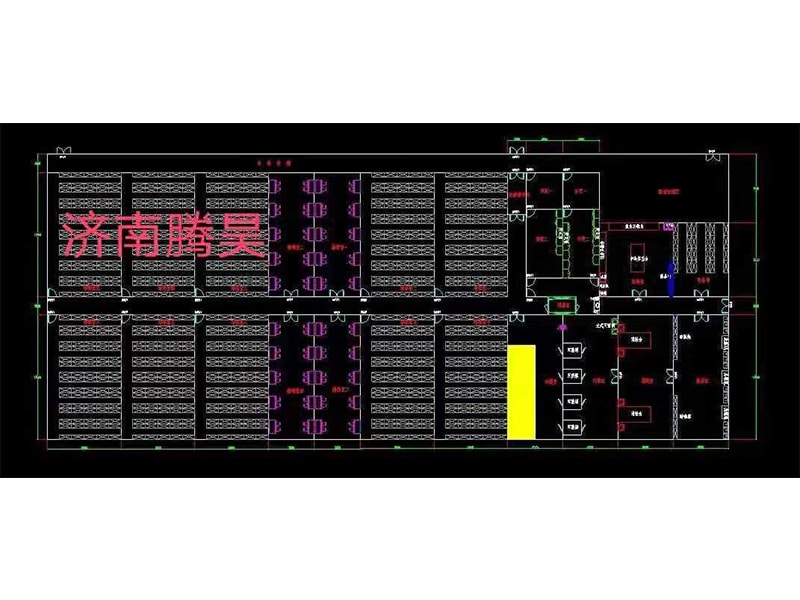 免费看片网站91  免费看片网站91室