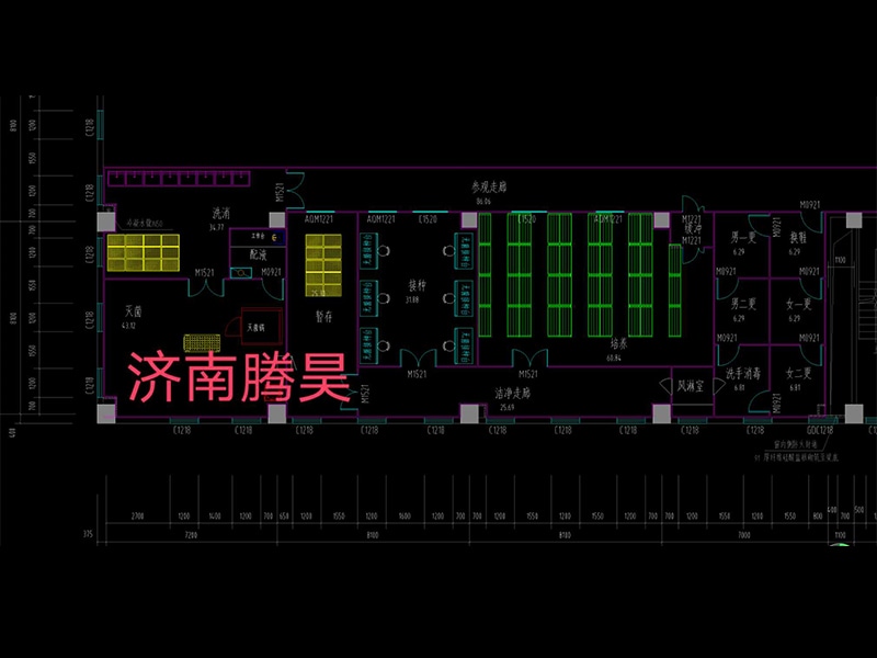 免费看片网站91  免费看片网站91室