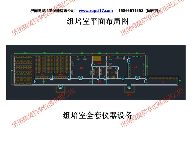 免费看片网站91  免费看片网站91室