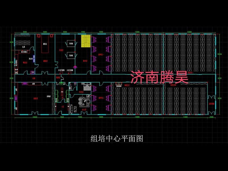 免费看片网站91  免费看片网站91室