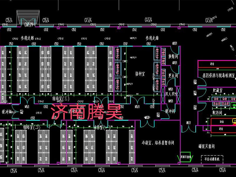 免费看片网站91  免费看片网站91室