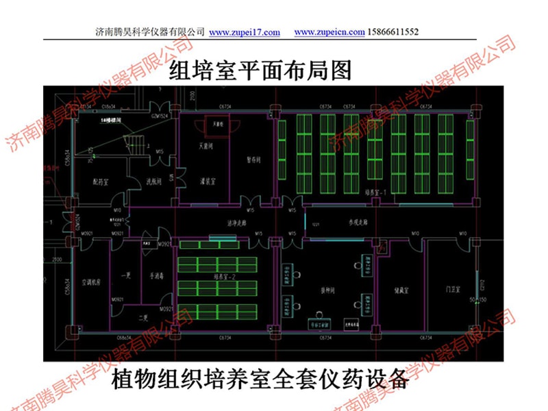 免费看片网站91室