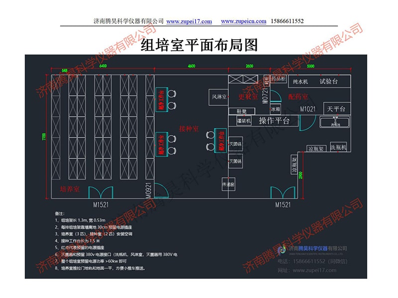 免费看片网站91室