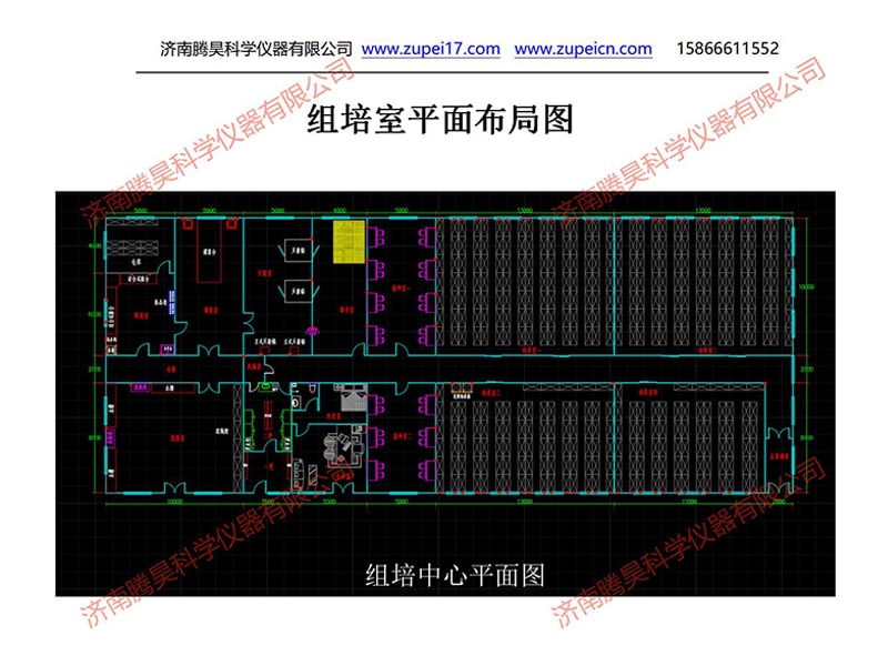 免费看片网站91  免费看片网站91室