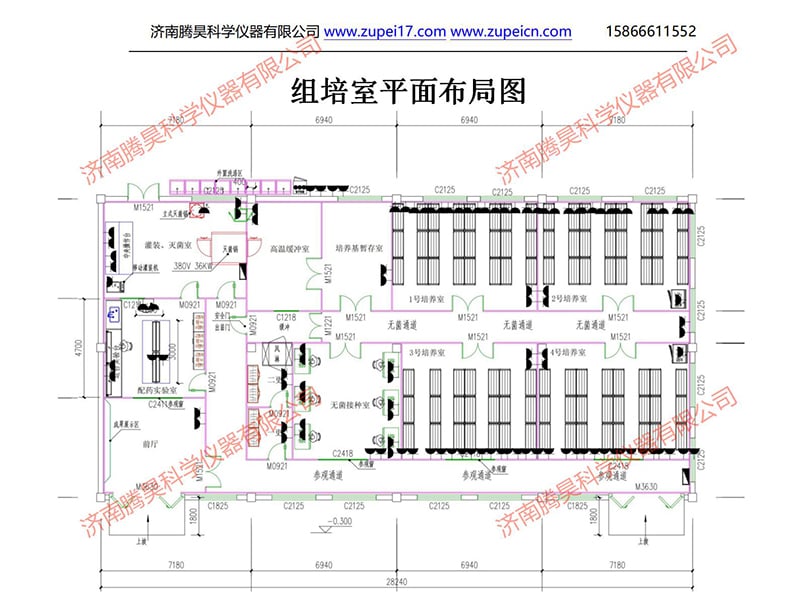 免费看片网站91  免费看片网站91室