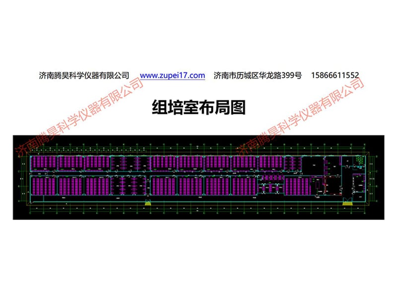 免费看片网站91室