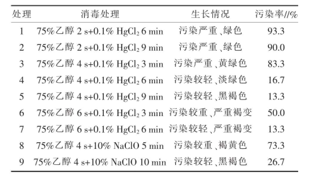 免费看片网站91室