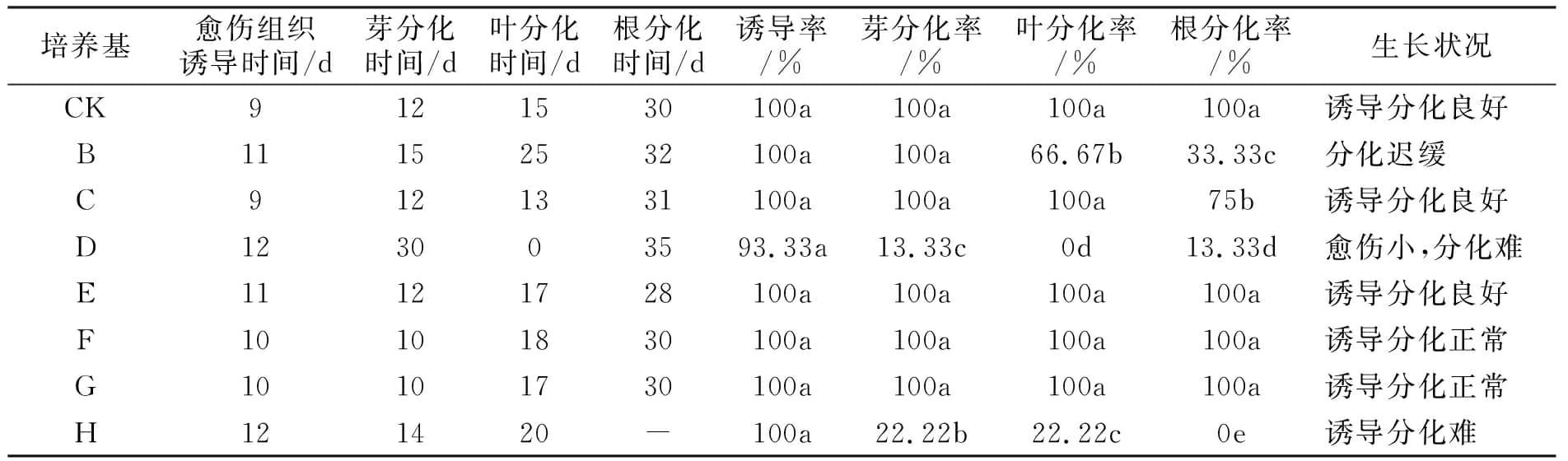 免费看片网站91設計圖