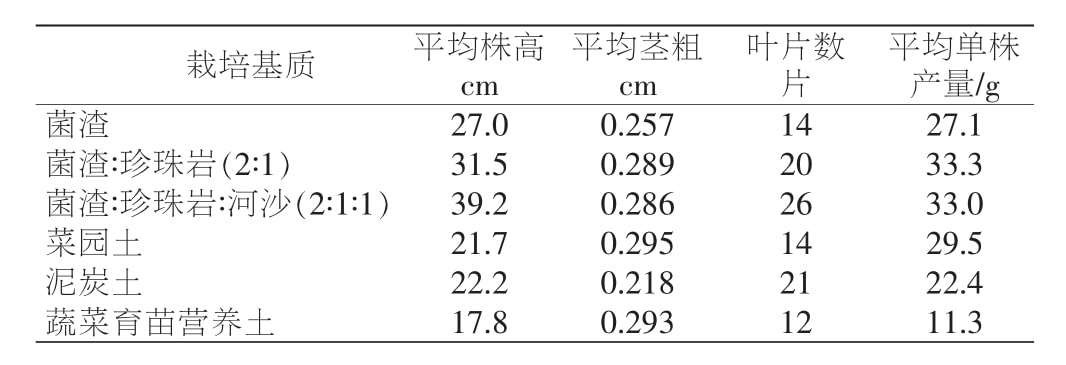 免费看片网站91室設計