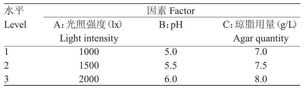 免费看片网站91室設計