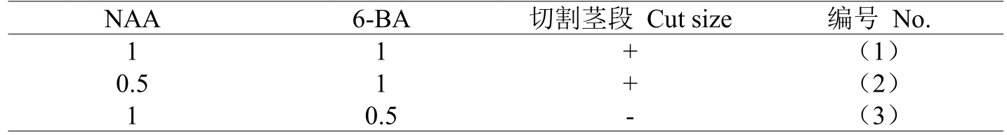 免费看片网站91室設計